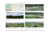PROJE SAHASI TANITICI FOTOĞRAFLAR · Eskipazar Dere ve Sırt Havzaları Sulama ve Tarımsal Dönüüm Projesi Sayfa 9 PROJE SAHASI TANITICI FOTOĞRAFLAR Eskipazar Sulama Havzası