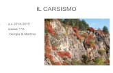 IL CARSISMO - koalizziamocikoalizziamoci.weebly.com/uploads/1/3/5/8/13582728/il_carso.pdf · Il termine carsismo deriva da Carso, una regione geografica situata al confine tra Italia