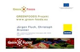 GREENFOODS Projekt Jürgen Fluch, … · 2017. 3. 15. · Jürgen Fluch, Christoph Brunner AEE – Institute for Sustainable Technologies (AEE INTEC) 8200 Gleisdorf, Feldgasse 19