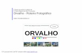 Pedro Miguel Fernandes E-Book ORVALHO · Título: Orvalho - Roteiro Fotográfico Resumo/Objectivos:conjunto de fotografias da freguesia do Orvalho. Autor e editor: Pedro Miguel da
