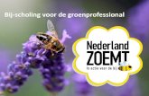 Titel presentatie · Titel presentatie subtitel Bij-scholing voor de groenprofessional ... nestgelegenheid voor wilde bijen in Nederland. Initiatiefnemers. Project- & campagnepartners.