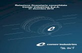Relazione finanziaria consolidata Comer Industries S.p.A. · 2019. 7. 19. · Relazione finanziaria annuale 1 Comer Industries S.p.A. Sede Legale e Uffici Amministrativi: 42046 Reggiolo