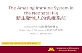 The Amazing Immune System in the Neonatal Pig 新生猪惊人的免 … · § Neonatal Piglet immunologically naïve 新生仔猪是无免疫的 Immune system develops ~70 d of 116