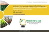 Presentación de PowerPoint - MERCOSOJA 2019 · 2019. 9. 16. · Ing. Agr. Dr. Roque Craviotto Ing. Agr. Dra. Miriam Arango Perearnau Ing. Agr. M.Sc. Carina del Valle Gallo Ing. Agr.