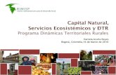 Capital Natural, Servicios Ecosistémicos y DTR · • Claras recomendaciones de cómo abordar la dimensión ... extracción de aguas subterráneas –subsidios del Estado para todos