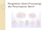 Penanganan (Seed Processing) dan Penyimpanan Benihtb_kawakibiazmi.staff.gunadarma.ac.id/Downloads... · Teknologi Penyimpanan dan Kemunduran Benih Kemunduran benih= turunnya kualitas,
