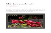 Chút hoa quanh vườnnguyentran.org/NhatLung/SLIDESHOW/ChutHoaQuanhVuon_ HKL.pdf · loại to và dầy úp lên các chậu hoa, tôi cứu được hơn 10 chậu hoa, chậu