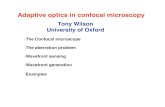 Tony Wilson University of Oxford - Lick Observatorycfao.ucolick.org/pubs/presentations/aosummer03/Wilson.pdf · Adaptive optics in confocal microscopy Tony Wilson University of Oxford