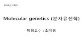 Molecular genetics (분자유전학 - contents.kocw.or.krcontents.kocw.or.kr/.../2010/02/02/Molecular_Genetics.pdf · 2010. 9. 29. · Molecular genetics (분자유전학) 담당교수: