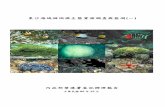 npgis.cpami.gov.twnpgis.cpami.gov.tw/public/data/pdf/東沙海域... · 東沙海域珊瑚礁生態資源調查與監測(一) 受委託者：中華民國珊瑚礁學會 研究主持人：鄭明修