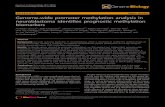 Genome-wide promoter methylation analysis in neuroblastoma ... · RESEARCH Open Access Genome-wide promoter methylation analysis in neuroblastoma identifies prognostic methylation