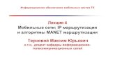 Лекция 4 сети: IP маршрутизация и MANET маршрутизации ...its.kpi.ua/itm/ternovoy/discipline/Інформаційне забезпечення... ·