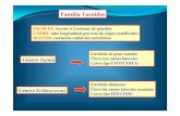 Familia Taenidae - Universidad de Sevillapersonal.us.es/derojas/docs/diapositivas-para/tema-13.pdf · 2010. 5. 21. · FAMILIA TAENIDAE AGENTE ETIOLÓGICO DE TENIOSIS (CISTICERCOSIS)