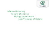 Isfahan University Faculty of science Biology department ... · Loment) ﯽﺤﯿﺒﺴﺗ ﻪﻧاد مﺎﯿﻧ ﯽﯾا ﻪﭼﺮﺑ ﮏﯾ و هدﺎﺳ ﯽﮔدﺎﻣ زرد.
