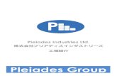 Pleiades GroupEN_JP).pdf · Production Floor Space 生産フロアー面積 6,000 SFT.(557.4 ㎡) Order Quantity オーダー量 最少20 フィートコンテナ Manpower Strength