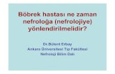 Böbrek hastası ne zaman nefroloğa yönlendirilmelidir? · 2014. 1. 8. · Kanser Kaza HT ‐ HT + Türk Hipertansiyon ve Böbrek Hastalıkları Derneği(insidans) 2008 Yılında