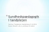 Seminar Tandplejen Sønderborg 21.8.2014 Karen Wistoft, ph ...pure.au.dk/portal/files/81119959/Seminar_sundhedsp... · 24-08-2014 * 1. Sundhedspædagogik 2. Pædagogisk forebyggelse