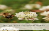 Bestøvning og biodiversitet · Rap-porten beskriver status for viden vedr. vilde bestøvende insekter med fokus på bier, bestøvnin-gen af vilde planter samt metoder til forbedring