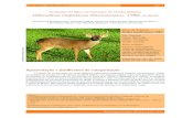 Avaliação do Risco de Extinção do Veado-galheiro ... · Veado-galheiro – Odocoileus virginianus pág. 3 Biodiversidade Brasileira (2012) Ano II, Nº 1, 3-11 Apresentação e
