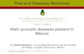 PRESENTATION: Main avocado diseases presentin México · PRESENTATION: Main avocado diseases presentin México Author: Ochoa-Ascencio, S. Keywords: OchoaSalvador2011c Created Date: