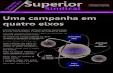 aial 2013 Superior - Sinpro Santos · competição acirrada entre as institui-ções de ensino. ... Boletim da Campanha Salarial 2013 – professores do ensino superior privado –