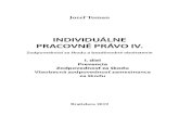 INDIVIDUÁLNE PRACOVNÉ PRÁVO IV.library.fes.de/pdf-files/bueros/slowakei/16192.pdf · Individuálne pracovné právo 5 JUDr. et Mgr. Jozef Toman, PhD. (1982) Od roku 2010 pôsobí