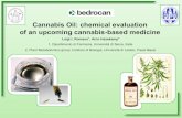 Cannabis Oil: chemical evaluation of an upcoming cannabis … Oil Info.pdf · 2017. 7. 14. · CANNABIS OIL RICK SIMPSON OIL - L'olio di Cannabis è un estratto, molto concentrato,