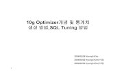 10g Optimizer개념및통계치 생성방법,SQL Tuning 방법1 10g Optimizer개념및통계치 생성방법,SQL Tuning 방법 2004/05/24 Hyungil.Kim 2004/08/02 Hyungil.Kim(수정)