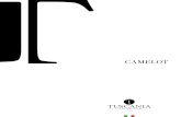 CAMELOT - Tuscania S.p.A.tuscaniagres.it/serie/camelot/catalogo.pdf · CAMELOT 9 mm R9 R11 HD outdoor HIGH V3 Grès porcellanato smaltato Glazed porcelain stoneware Grès cérame