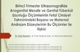 Birinci Trimester Ultrasonografide Anogenital Mesafe ve Genital … · 2020. 2. 5. · Birinci Trimester Ultrasonografide Anogenital Mesafe ve Genital Tüberkül Uzunluğu Ölçümlerinin