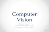 Computer Vision - Universitatea din Craiovainf.ucv.ro/documents/cstoean/CV5_1.pdf · 2016. 11. 8. · • Nepotrivirea totala intoarce 1 • Pentru unele comparatii (intersectia,