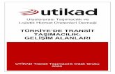 TÜRKİYE’DE TRANSİT TAIMACILIK: GELİİM ALANLARI · 2020. 8. 21. · 2 Türkiye’de Transit Taımacılık: Geliim Alanları 1. Giriú Türkiye’nin dı ticaret faaliyetlerinde