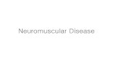 Lower motor neuron disease (하위운동신경원 질환) - KOCWelearning.kocw.net/contents4/document/lec/2013/Gachon/Lym... · 2014. 7. 8. · •Since it’s a lower motor neuron