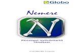 NEMERE - GLOBOglobo.hu/programleirasok/nemere_leiras.pdf · 2011. 6. 13. · A Nemere rendszer célja a bejöv ő és kimen ő pénzügyi m űveletek nyilvántartása. Kiegészítve