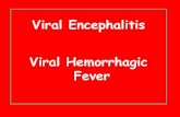 New Viral Encephalitis Viral Hemorrhagic Feverkau.edu.sa/Files/0004258/Subjects/Arboviruses.pdf · 2008. 11. 24. · Distribution of Dengue. Arboviruses Members of the Following Families