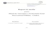 Intercomunal Păltiniș - Cindrelcjsibiu.ro/wp-content/uploads/2014/10/raport-mediu... · 2019. 5. 17. · Raport de mediu - Plan de Amenajare a Teritoriului Zonal Intercomunal Păltiniș