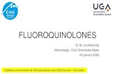 FLUOROQUINOLONES · 2020. 2. 9. · FLUOROQUINOLONES Dr M. Le Maréchal Infectiologie, CHU Grenobles Alpes 24 janvier 2020 ... Les différentes quinolones existantes Kohanski, Nat