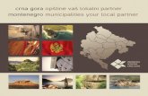 crna gora opštine vaš lokalni partner montenegro ......So far the business zones in Berane, Kolasin, Cetinje, Niksic, Ulcinj, Bijelo Polje, Mojkovac and Podgorica have been de -