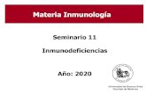 Seminario 11 Inmunodeficiencias...Seminario 11 Inmunodeficiencias Año: 2020 Universidad de Buenos Aires Facultad de Medicina Materia Inmunología Primarias (IDP): - alteraciones genéticas