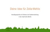 Deine Idee für Zella-Mehlisüringen.de...Deine Idee für Zella-Mehlis o Großes Fragezeichen auf Platz o Aufruf, Ideen einzubringen (über klassische & moderne Medien) o Niederschwellige