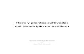 Flora y plantas cultivadas del Municipio de Astillero...3 Catálogo de plantas (silvestres y cultivadas) por orden alfabético de familias. ANGIOSPERMAS DICOTILEDONEAS (Magnoliatas)