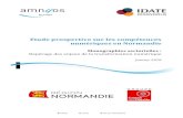 Etude prospective sur les compétences numériques en Normandie · 2020. 6. 16. · Etude prospective sur les compétences numériques en Normandie janvier 2018 5 1. Introduction