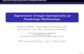 Segmentation d'images hyperspectrales par Morphologie …angulo/publicat/NoyelEtAl_30... · 2007. 2. 1. · Segmentation d’images hyperspectrales par Morphologie Mathématique Conclusion