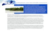 Indicatoren voor het Schelde-estuariumvisserij, toerisme, …. De Langetermijnvisie Schelde-es tuarium [1] streeft dan ook naar een waterkwaliteit ... de zuurstofhuishouding in het