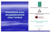 Anesthésie pour amygdalectomie chez l’enfantjlar.com/epu/2007_Juin/amygdale Lille EPU 2007.pdf · 2019. 4. 26. · 2 Contexte Anesthésie pour ORL 912 % des actes d’anesthésie