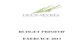BUDGET PRIMITIF EXERCICE 2013 - Deux-Sèvres · 2018. 1. 15. · Budget primitif € voté par nature. BUDGET : Budget principal (3) ANNEE 2013 (1) Indiquer soit « Département :