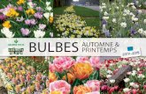 BULBES AUTOMNE & PRINTEMPS - Horty Fumel...« Bulbes Printemps & Automne 2017 /2018 ». Vous y découvrirez les dernières nouveautés de notre partenaire Fred. De Meulder Export B.V.,