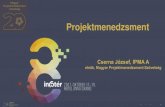 elnök, Magyar Projektmenedzsment Szövetségkonferencia2017.infoter.eu/_eloadasok/Vivamus_I/1_nap/20... · 2017. 11. 16. · Infotér 2017 - Projektmenedzsment 5 1. Komplex problémák