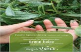 Studieplan for Grønn helse¸nn-Helse... · GRØNN HELSE - ET STUDIUM MED FOKUS PÅ BÆREKRAFT ... kjenner til begrepet miljøpsykologi og prinsipper for stressreduksjon og hvordan