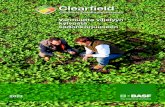 BASF Clearfield FI · 2019. 3. 11. · Tietoa Clearfield Tuotantomenetelmästä 12/2012 GTK 2013 ” ” ” Esa Luoma ja Ilpo Iso-Koivisto: Spiraali jäi työttömäksi, kun siirryin